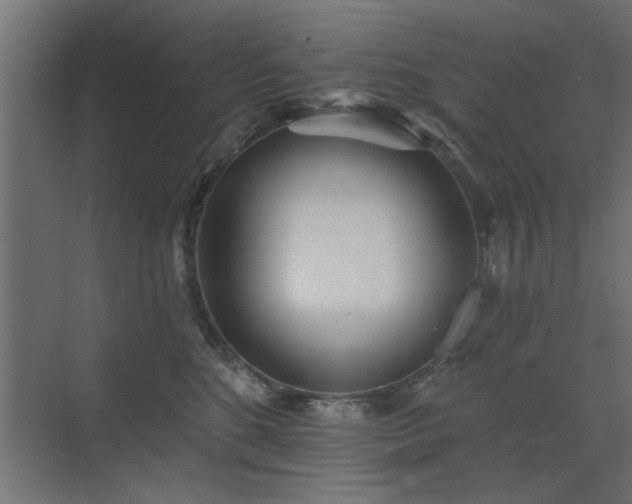 X0000072970520200607211226