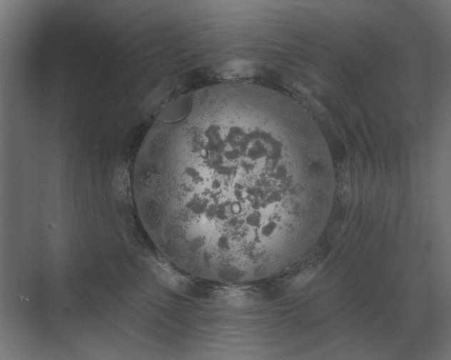 X0000072970523200607211226