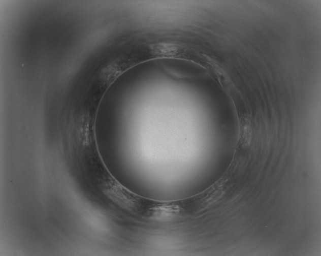 X0000072970525200607211226