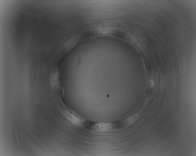 X0000072970526200607211226