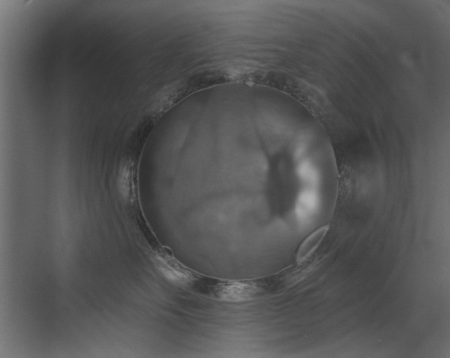 X0000072970527200607211226