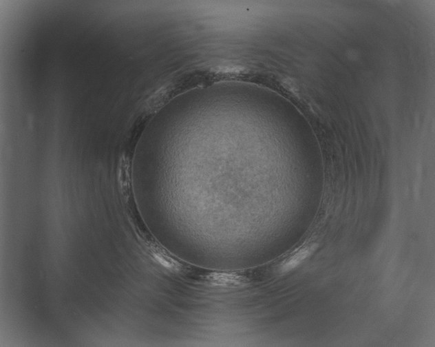 X0000072970528200607211226