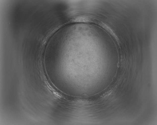 X0000072970529200607211226