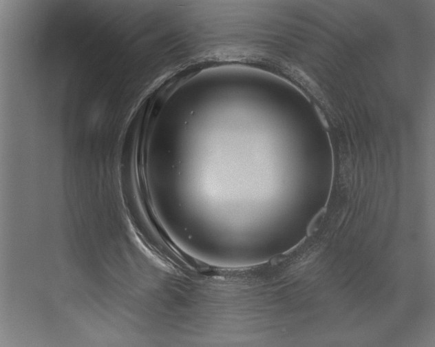 X0000072970530200607211226