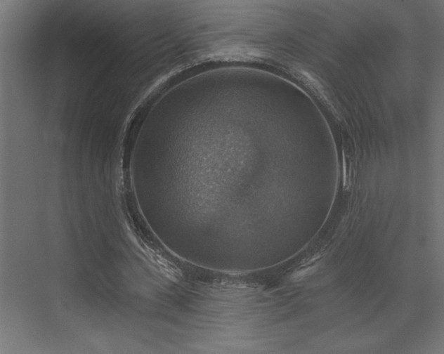 X0000072970531200607211226