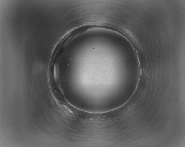 X0000072970532200607211226