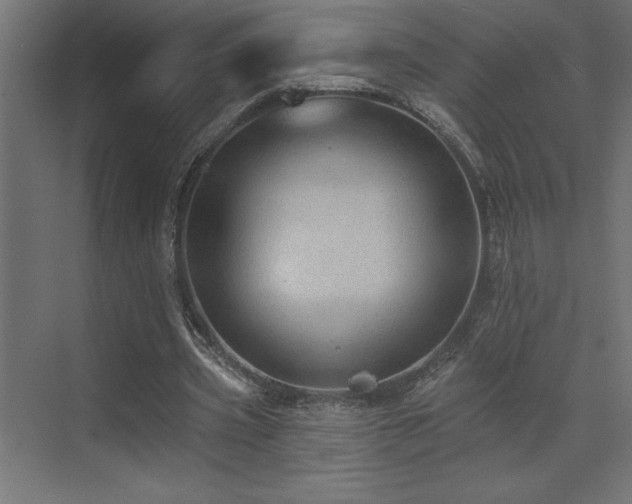 X0000072970533200607211226