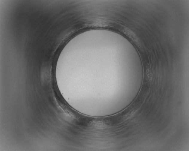 X0000072970534200607211226