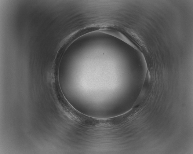 X0000072970536200607211226