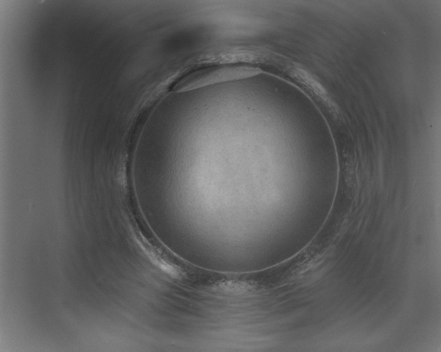 X0000072970537200607211226