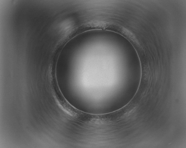 X0000072970538200607211226