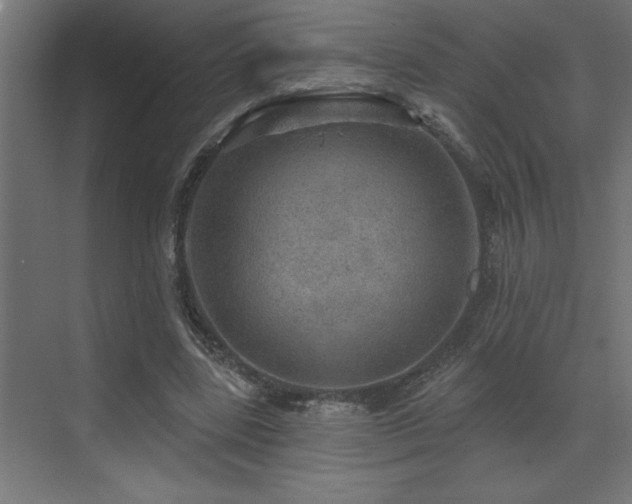 X0000072970539200607211226