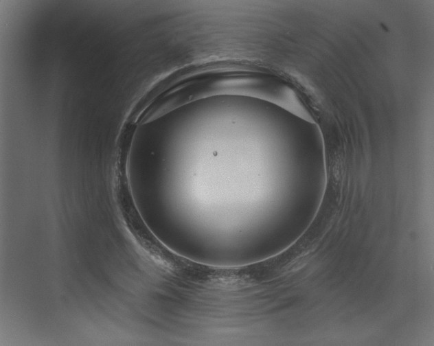 X0000072970540200607211226