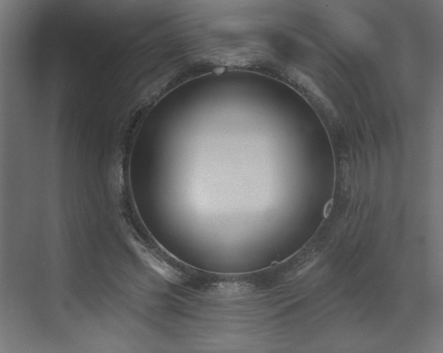 X0000072970541200607211226