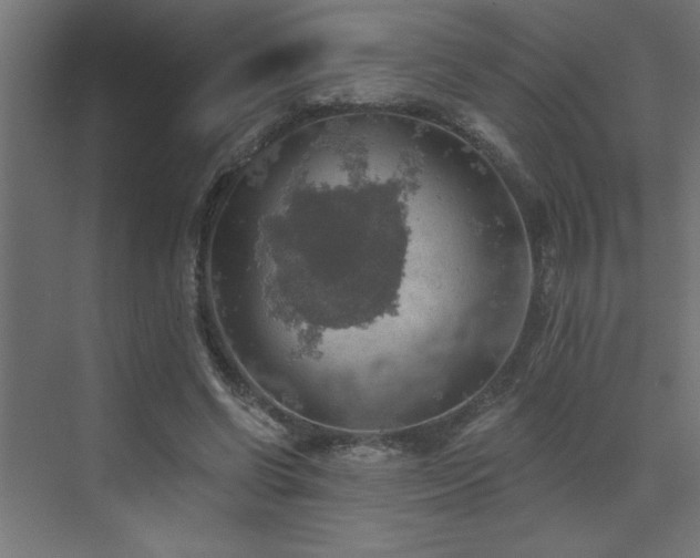 X0000072970542200607211226