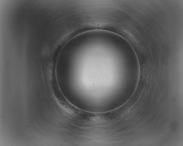 X0000072970544200607211226