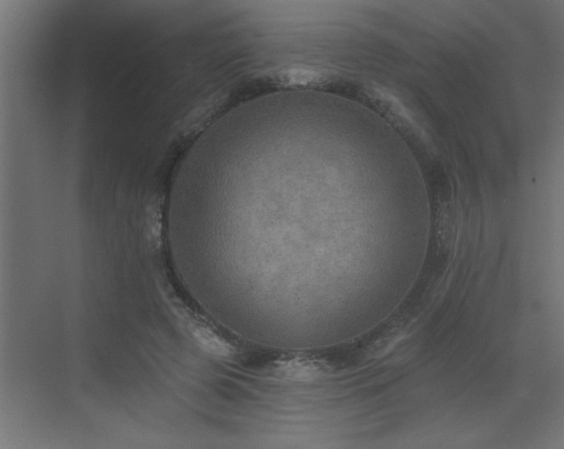 X0000072970545200607211226