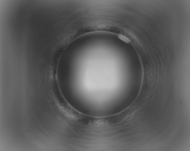 X0000072970546200607211226