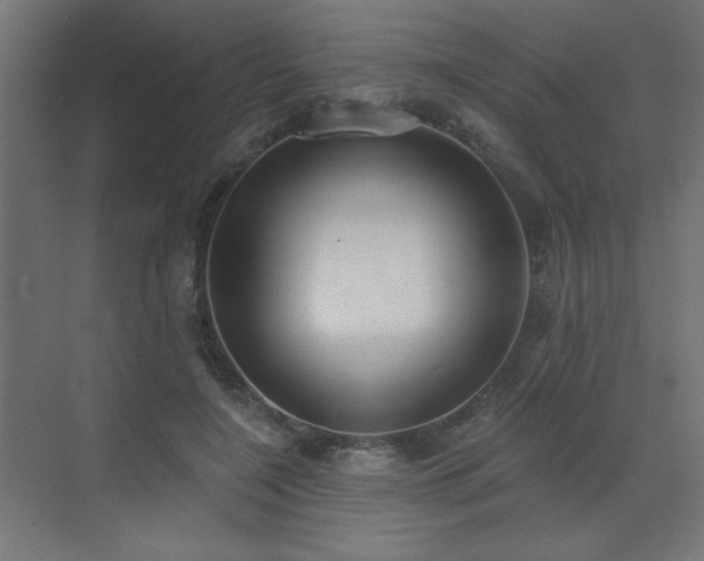 X0000072970548200607211226