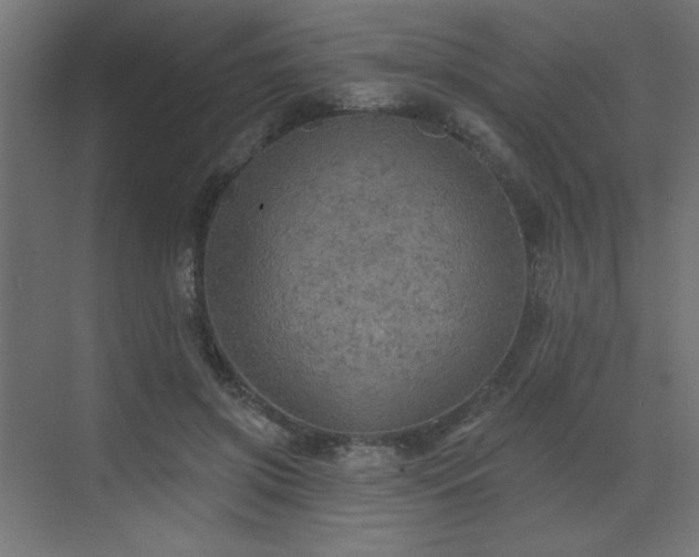 X0000072970549200607211226