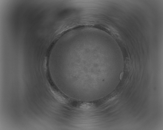 X0000072970550200607211226