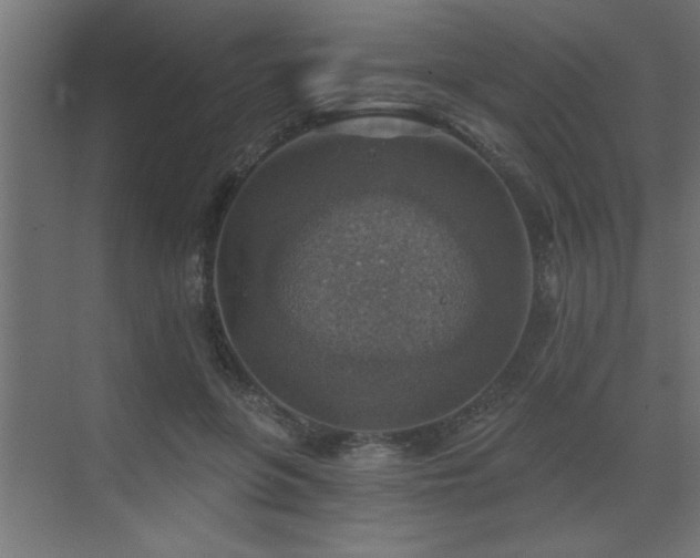 X0000072970551200607211226