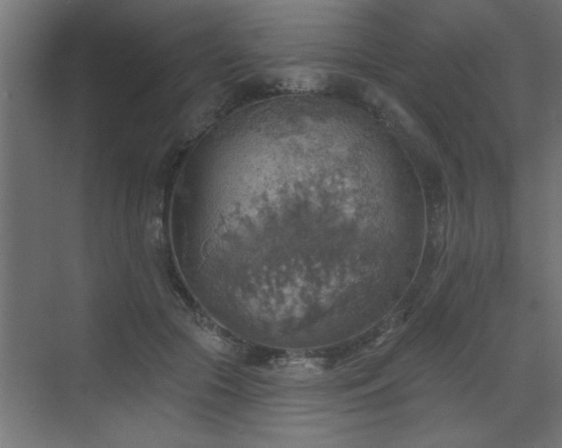 X0000072970553200607211226