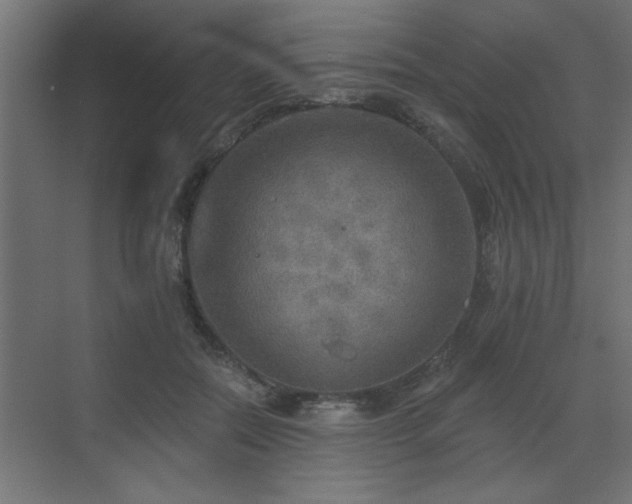 X0000072970554200607211226