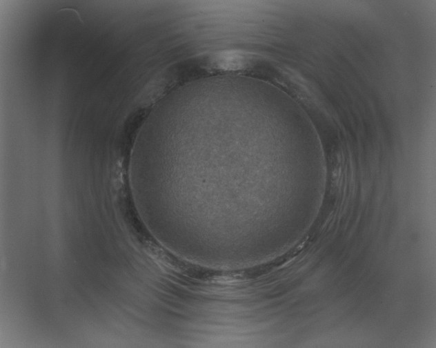 X0000072970555200607211226