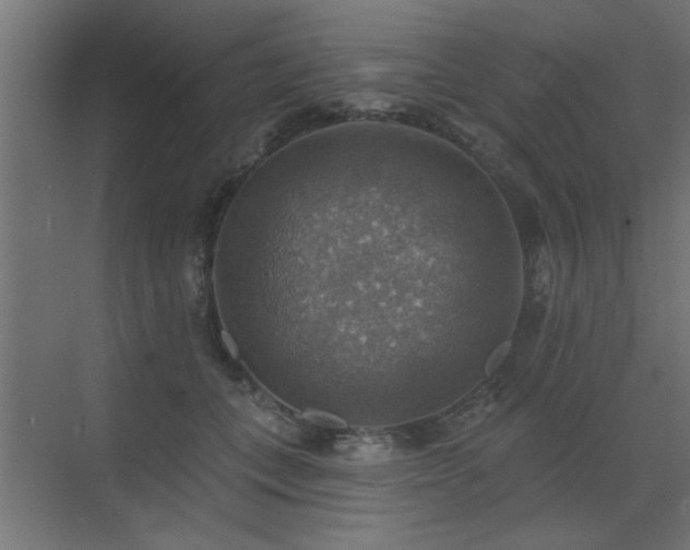 X0000072970559200607211226