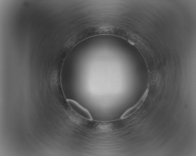 X0000072970560200607211226