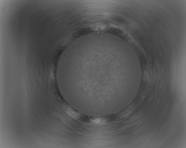 X0000072970561200607211226