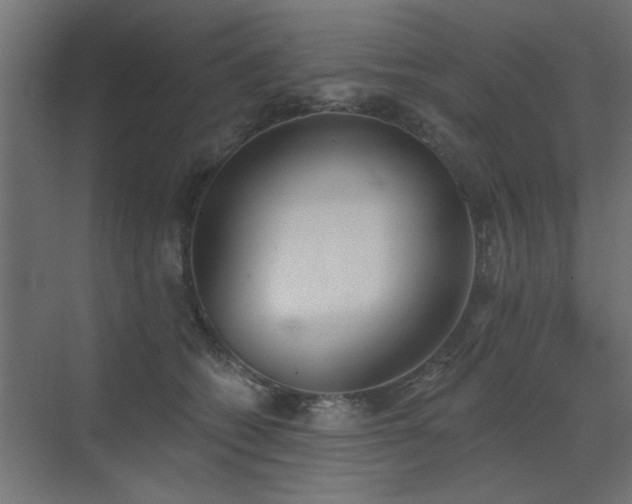 X0000072970562200607211226