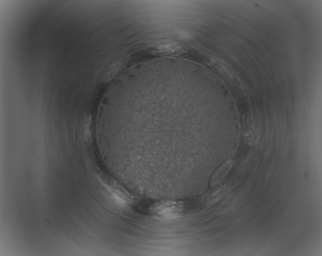 X0000072970563200607211226