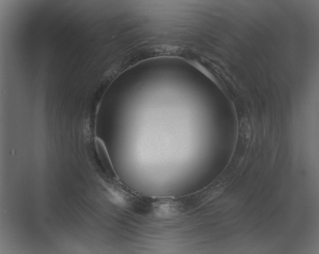 X0000072970564200607211226