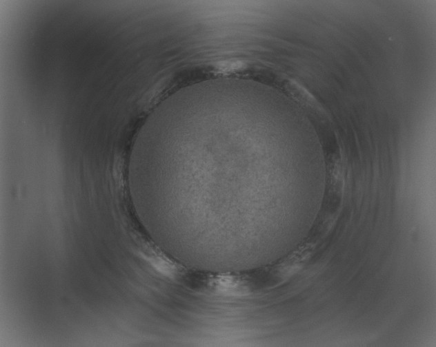 X0000072970565200607211226