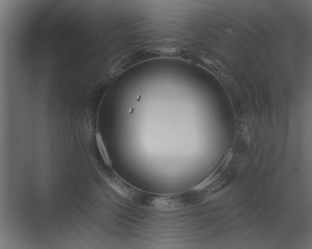 X0000072970568200607211226