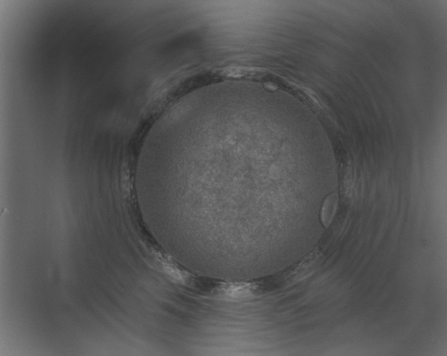 X0000072970569200607211226