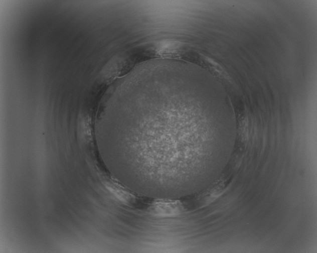 X0000072970571200607211226