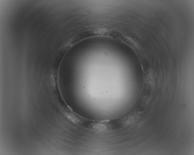 X0000072970572200607211226