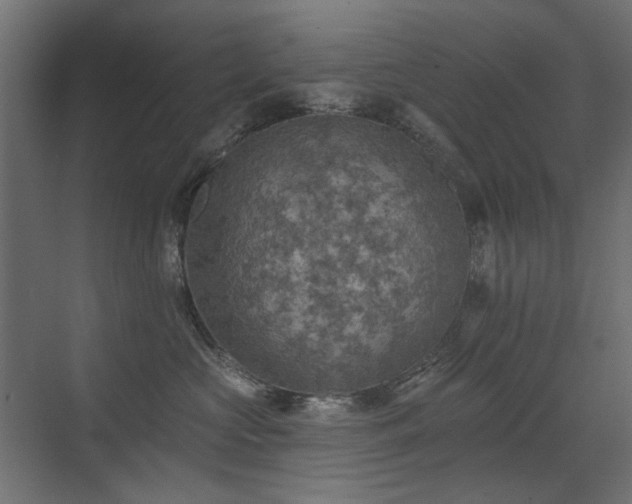 X0000072970573200607211226