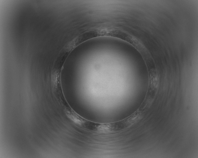 X0000072970574200607211226