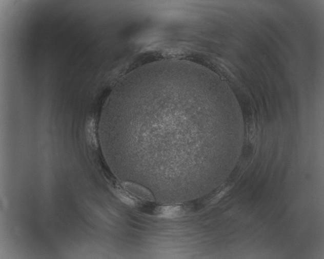 X0000072970575200607211226