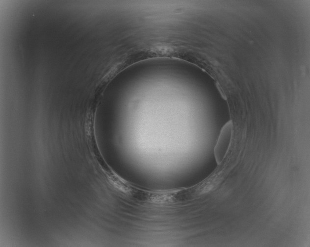 X0000072970576200607211226