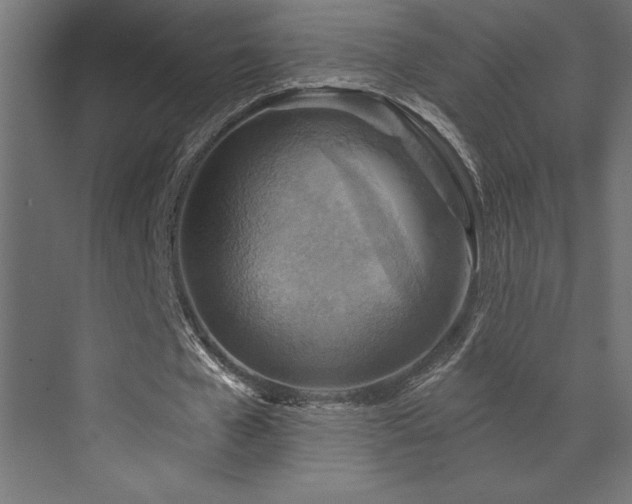 X0000072970577200607211225