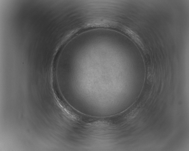 X0000072970578200607211225