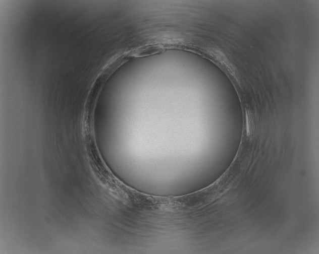 X0000072970579200607211225