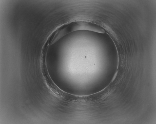 X0000072970580200607211225