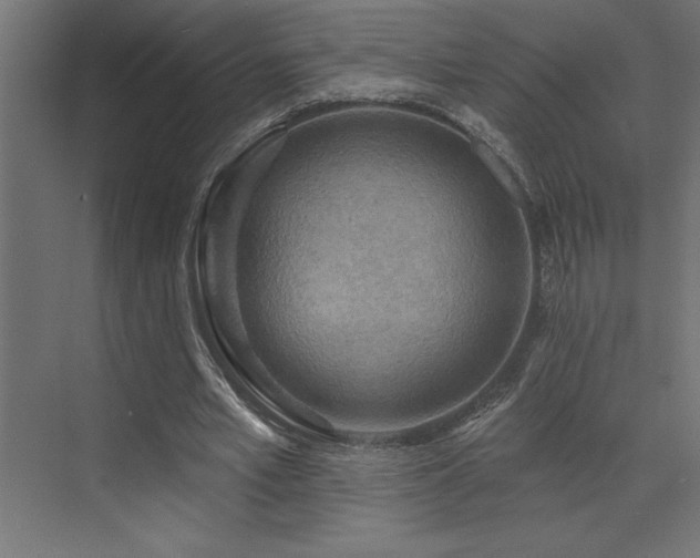 X0000072970581200607211225