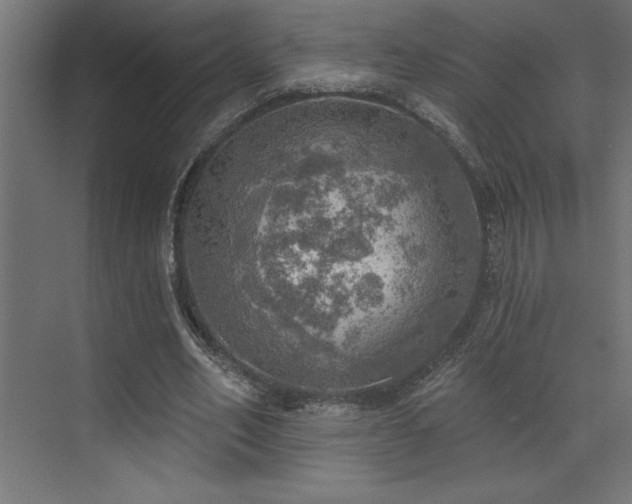 X0000072970582200607211225